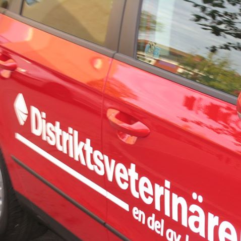 DV rycker in för att bistå Kalmar Veterinärstation