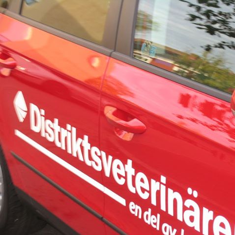 Riksrevisionen ska granska Distriktsveterinärernas verksamhet