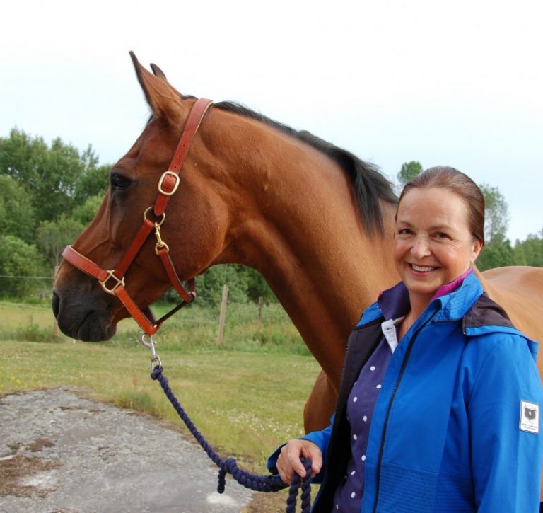 VeterinärMagazinets medarbetare utgiven på engelska