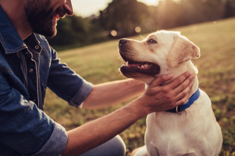 Nya markörer för autoimmun sjukdom hos hund