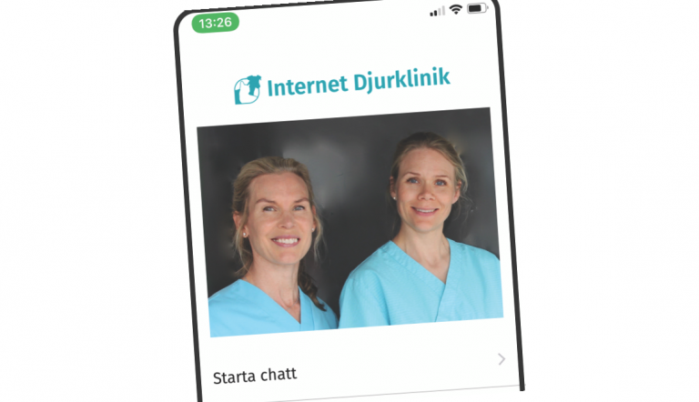 Små kliniker i digital framkant