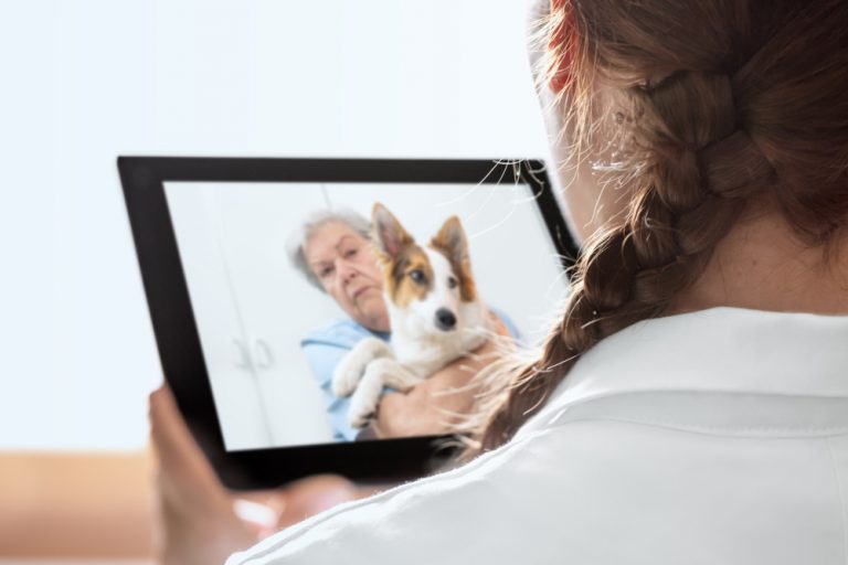 Agria lägger till Vethem som digital veterinär