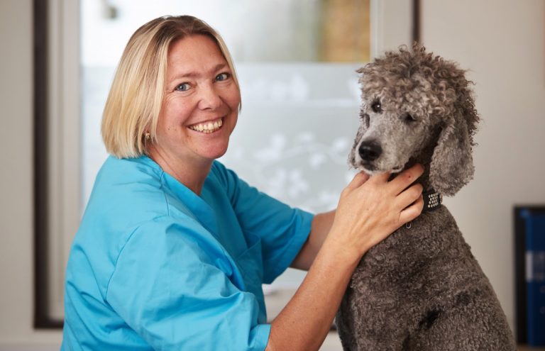 Susanne Åhman nominerad till Årets Veterinär 2019