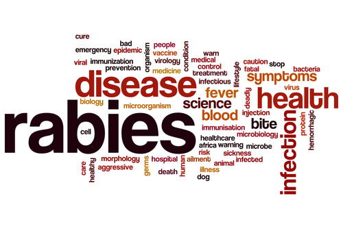 Kampanj för att bekämpa rabies i Afrika