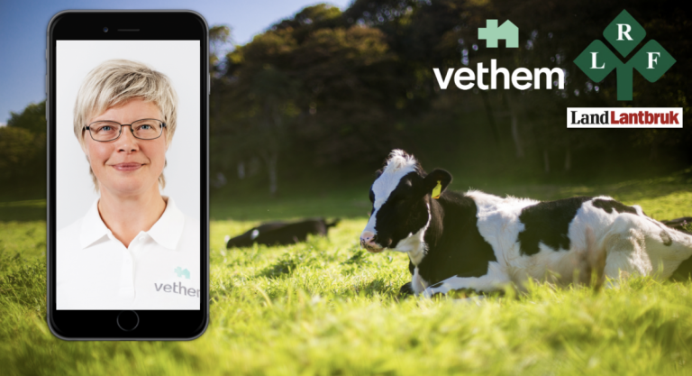 Vethem erbjuder digital veterinärvård för LRF:s medlemmar