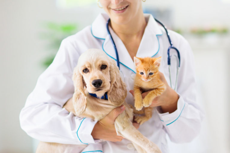 Veterinärer får ändra djurskyddsregler