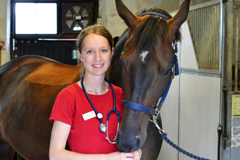 Första sommaren som tf veterinär