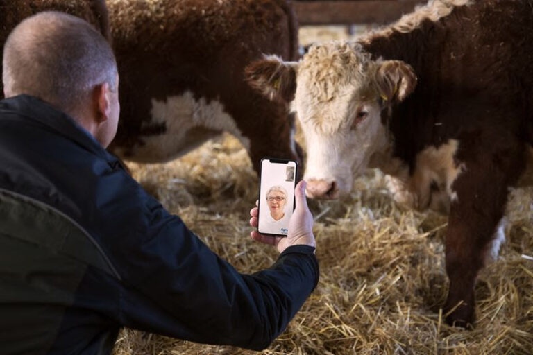 Agrias digitala veterinärtjänst öppen för lantbrukets djur