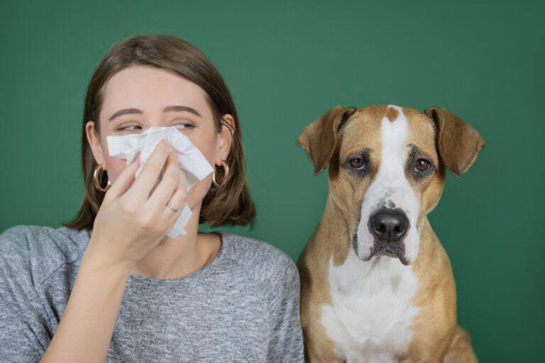 När hundar och deras ägare samtidigt drabbas av allergier