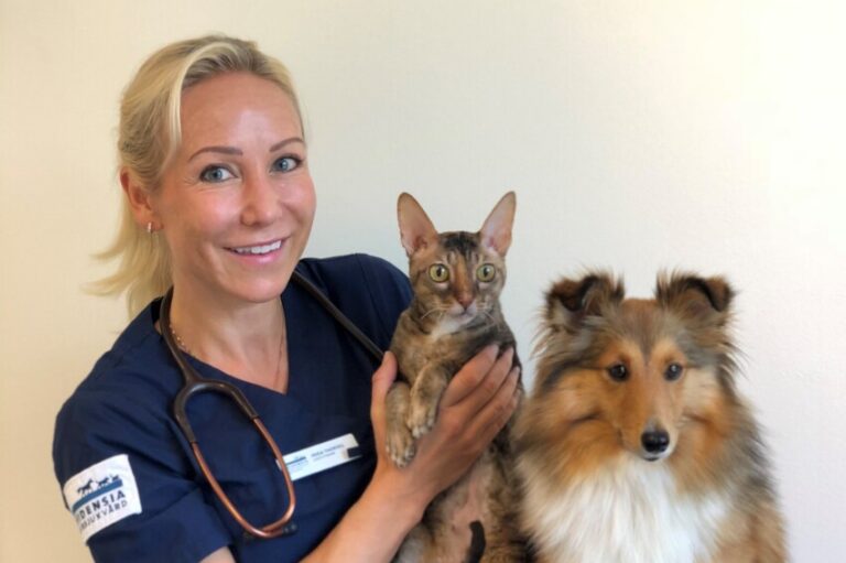 Frida Thorsell nominerad till Årets Veterinär 2021