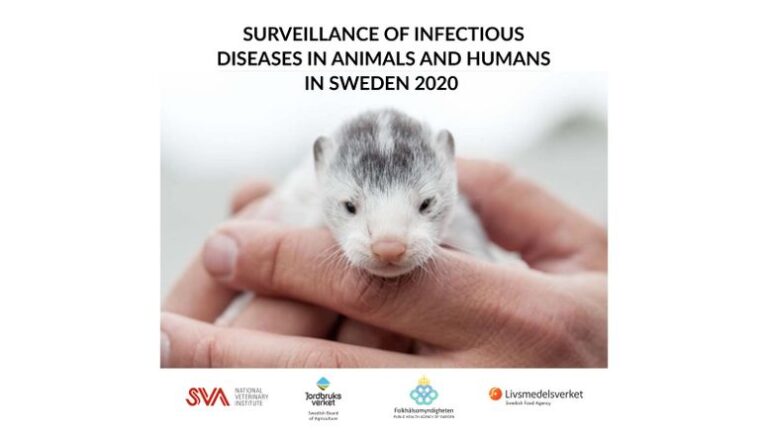 SVA: Hälsoläget fortsatt gott hos svenska djur