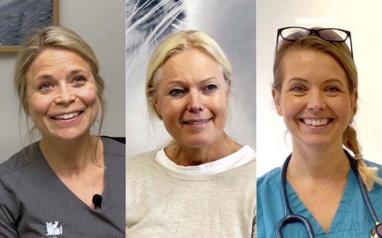 Årets Veterinär 2021 – Här är de tre finalisterna!