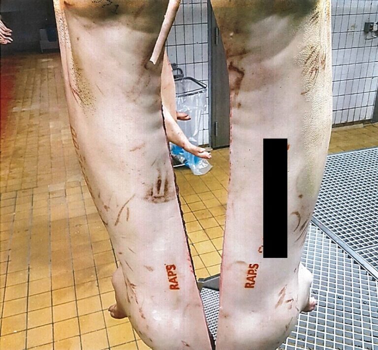 Fallande griskroppar hot mot officiella veterinärer