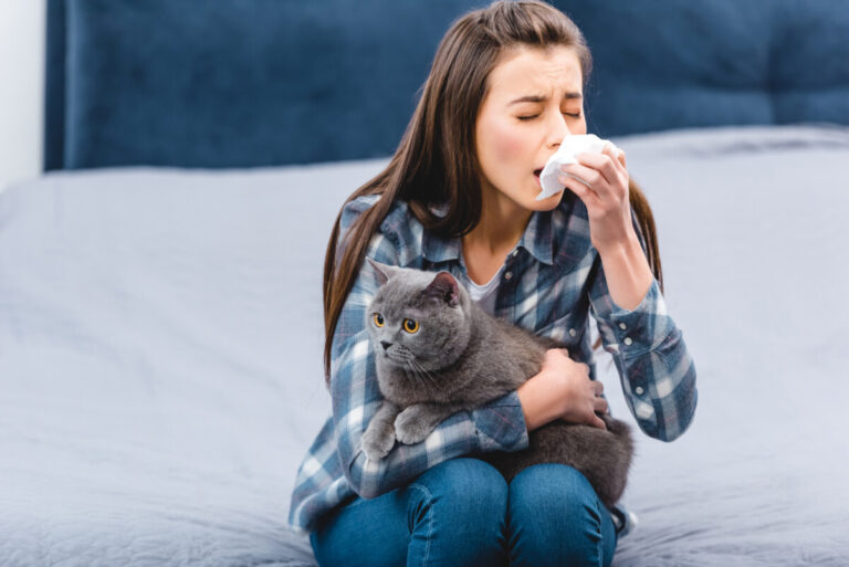 Allergifria katter kan bli verklighet