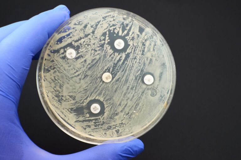 Efsa-rapport: Kampen mot antibiotikaresistans lönar sig