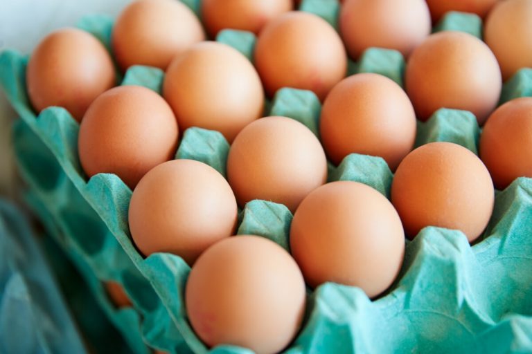 Välfärdsproblem finns även i ekologisk äggproduktion