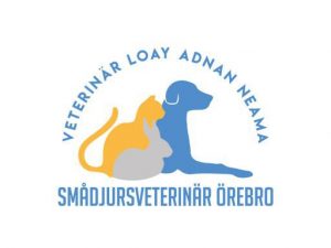 Smådjursveterinär Örebro
