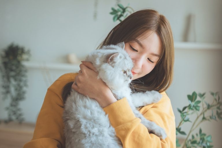 Digital vårdguide minskar onödiga veterinärbesök