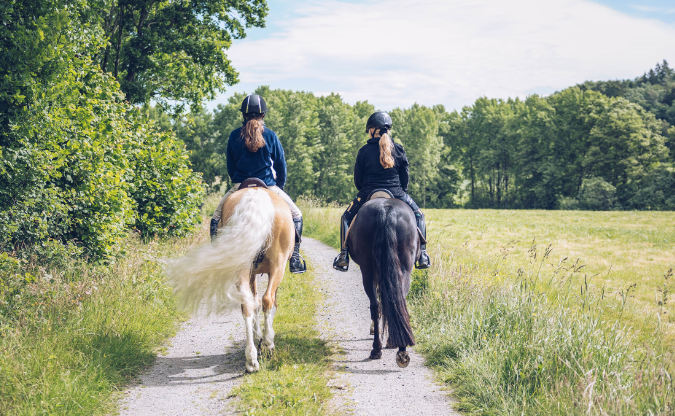 7 587 hästar deltog i Agriaritten
