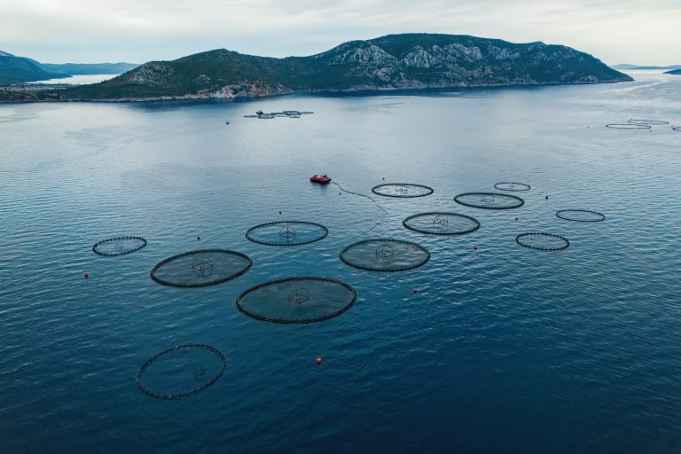 Aktuell forskning om djurvälfärd i fokus på Djurskyddskonferensen