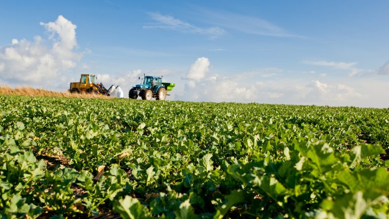 SLU lanserar nytt innovationspris för hållbar omställning