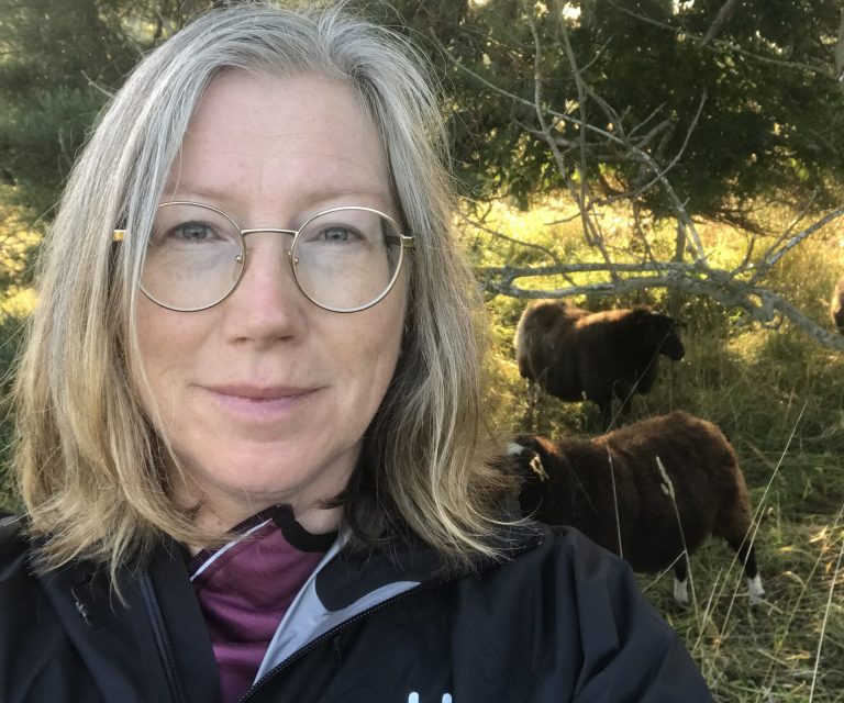 Längre liv för mjölkkor ger både bättre lönsamhet och lägre utsläpp