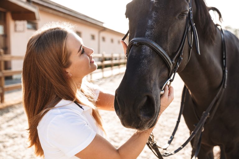 Fler elever väljer naturbruksprogrammet – stark ökning för djurvård och häst