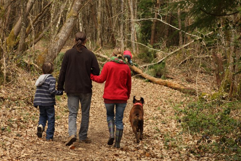 Promenad för hundars hälsa ska vända negativ trend