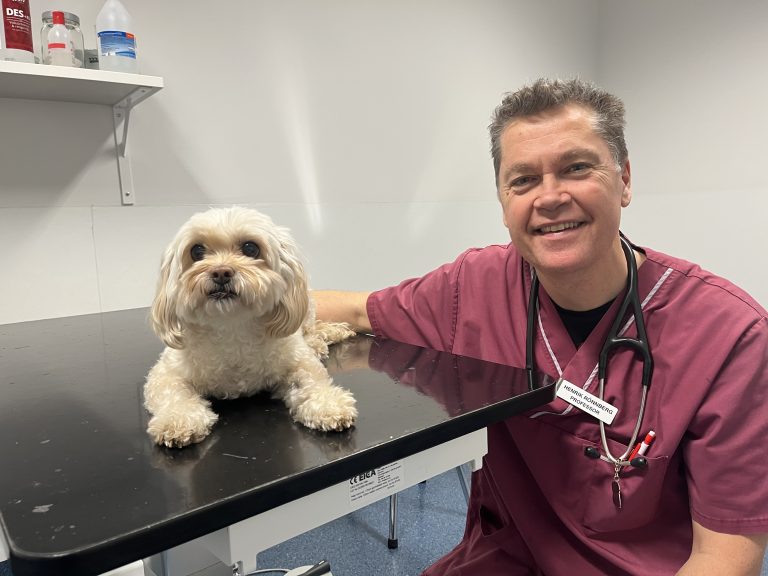 ”Vi måste bli förutsägbara, trygga och tydliga igen”