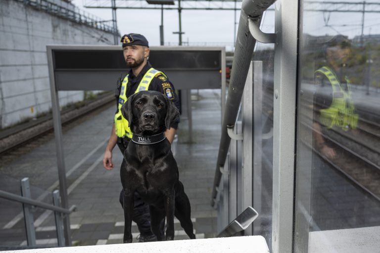 Fanny är Årets Narkotikasökhund 2025