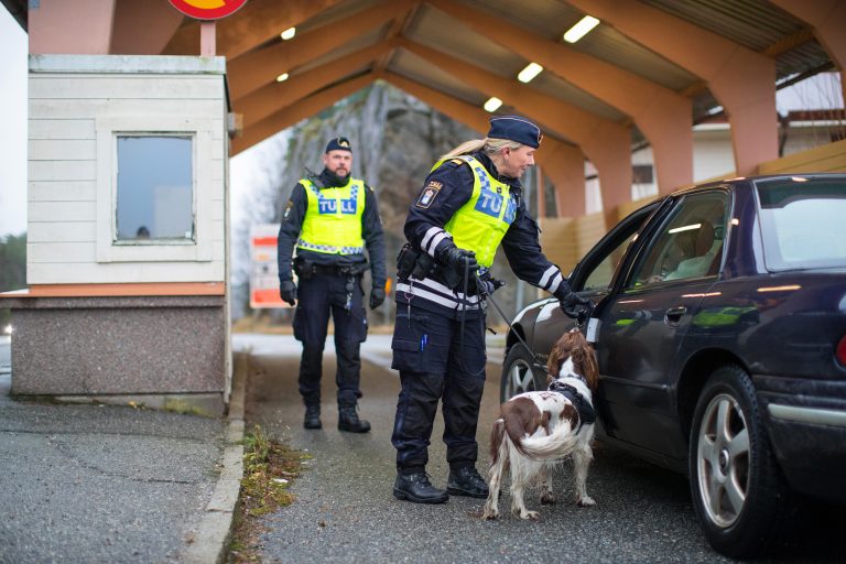 Regeringen vill skärpa lagen mot invasiva arter – Tullverket får ökade befogenheter