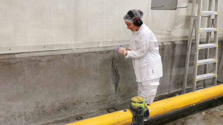 Biofilmer försvårar hygienarbetet i slakterier