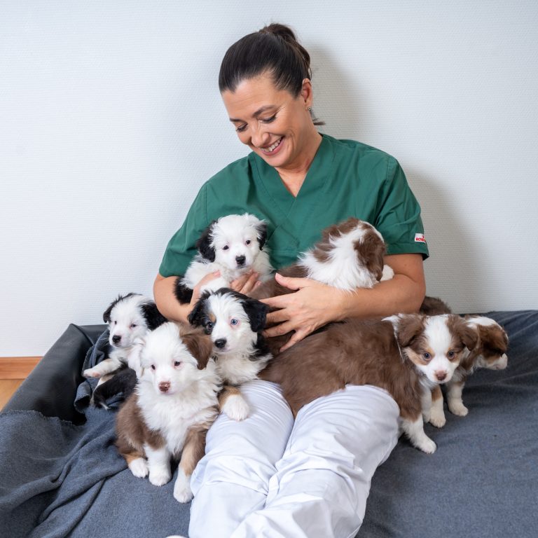 Hallå där, Marie Jury – nominerad till Årets Hundvän!