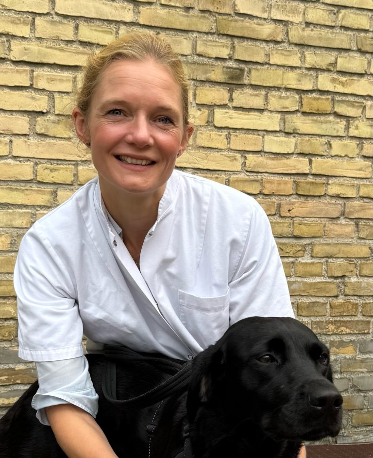 Genetisk riskfaktor identifierad – ny forskning kan minska höftledsproblem hos hundar