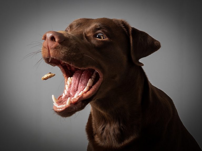 Riskkapitalet ökar i när Eurazeo öppnar kontor i Stockholm