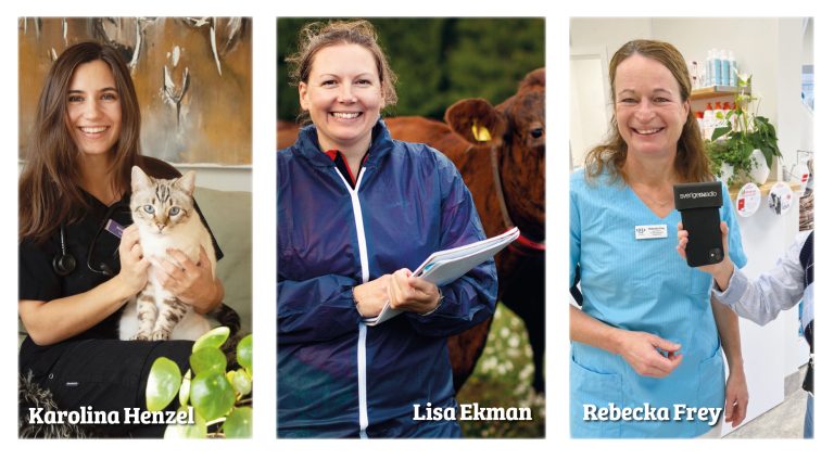 Möt de nominerade till Årets Veterinär 2025