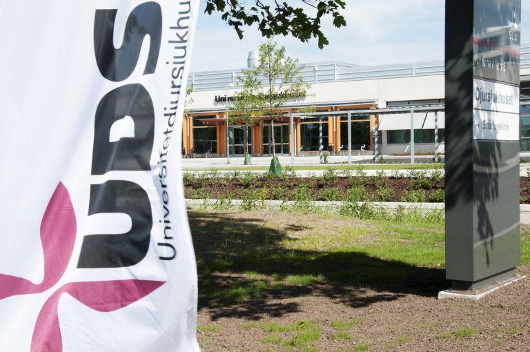 SLU:s veterinärutbildning fortsatt ackrediterad av EAEVE