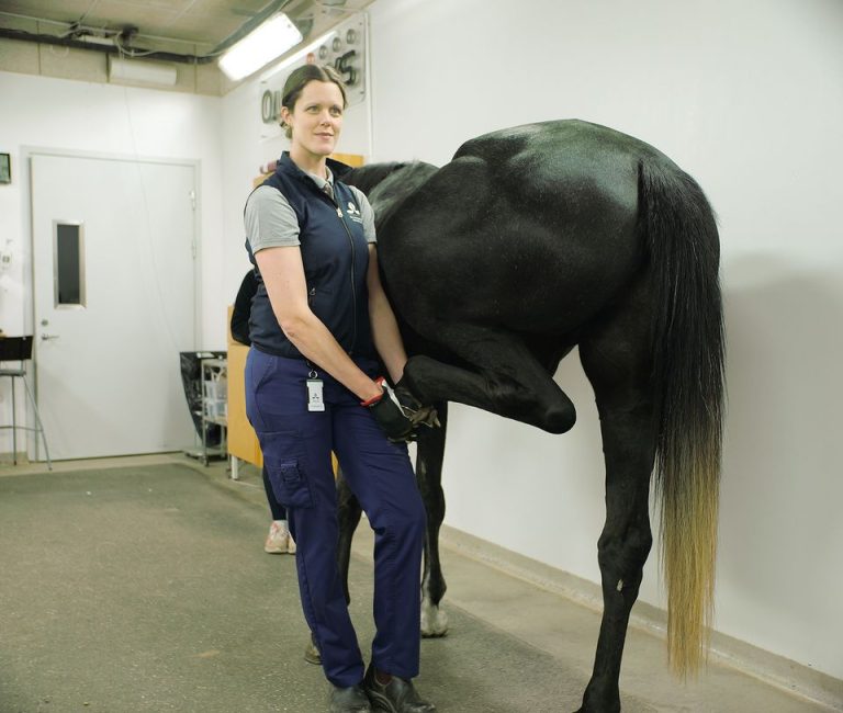 Ny forskning ska göra hältutredningar säkrare och mer träffsäkra