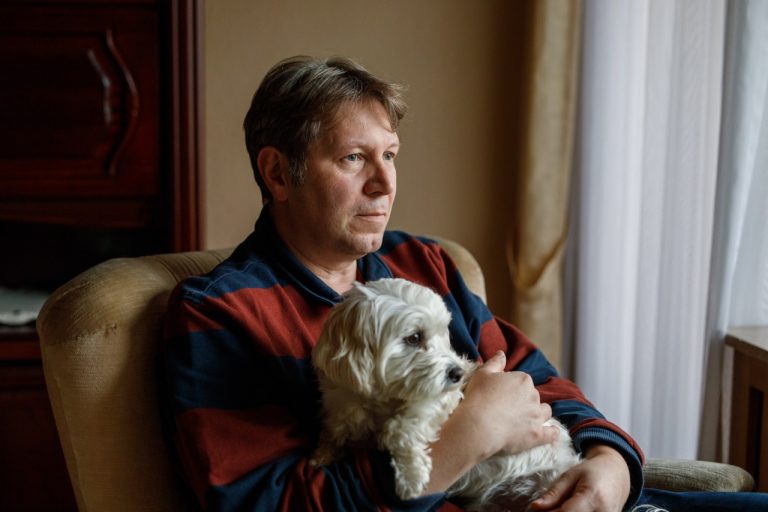 ”Risk att djur blir utan akutvård” – Djurskyddet slår larm