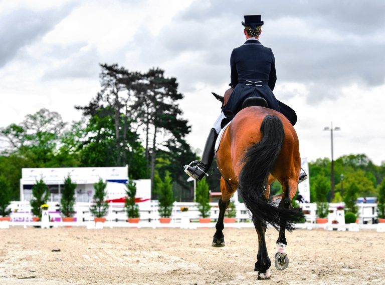 Hästvälfärd i fokus när nytt bedömningsprotokoll för dressyr tas fram