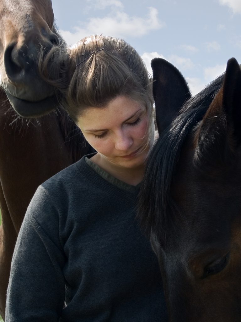 Tystnadskultur i ridsporten granskas – kan påverka hästars välfärd