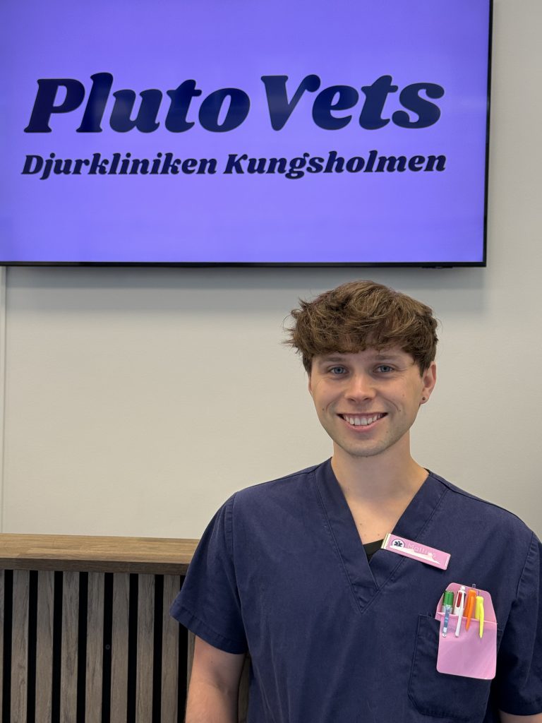 Mattias Jämtner tar över som klinikchef på Plutovets Kungsholmen