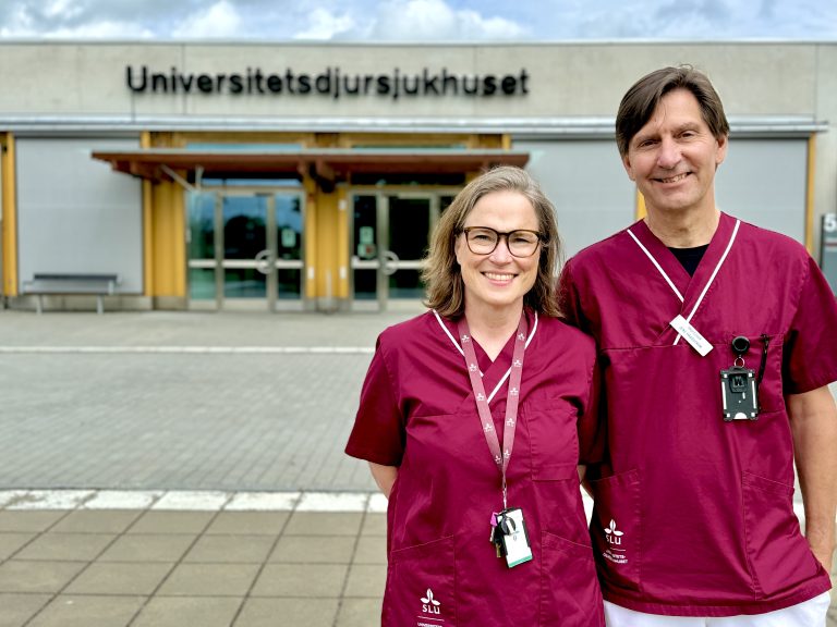 UDS öppnar smådjursakuten dygnet runt igen