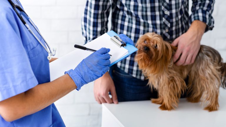 Hot och trakasserier mot djurskyddshandläggare kartlagda i ny rapport