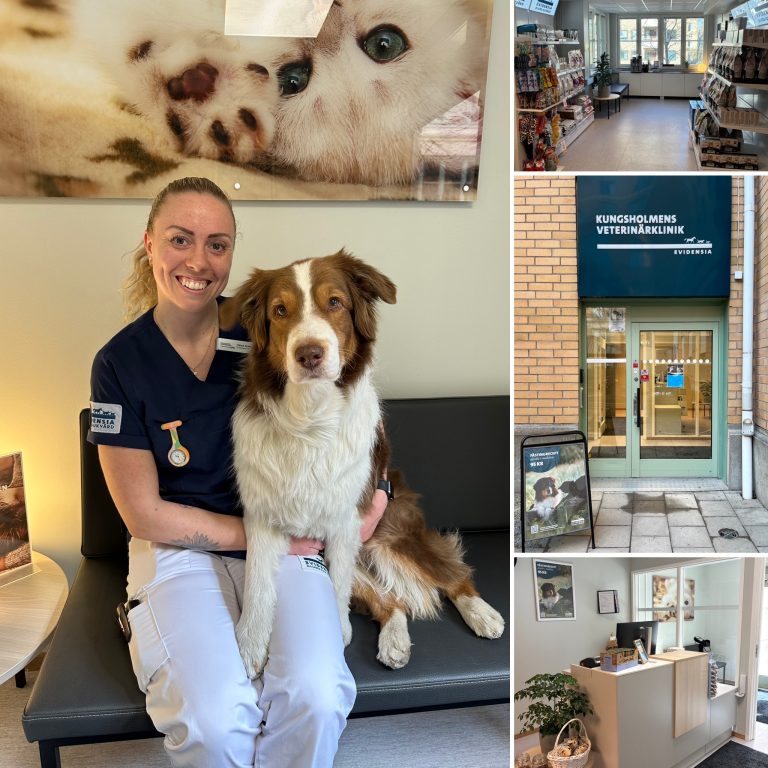 “Vi vill vara ett tryggt förstahandsval” – ny klinik har öppnat på Kungsholmen