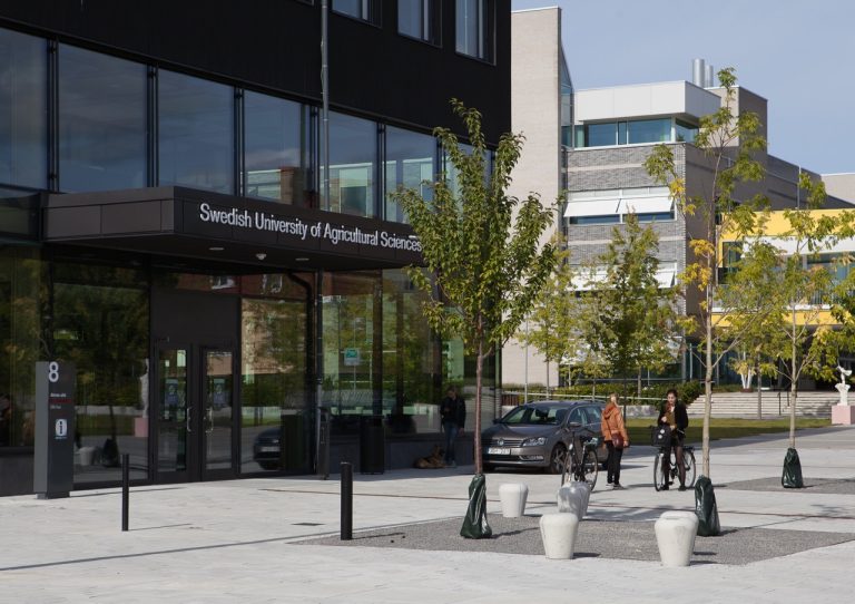 Nya professorer på SLU – fokus på kirurgi, hältdiagnostik och djurhälsa