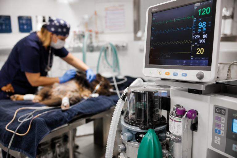 Ny kartläggning ska ge bättre kontroll över medicintekniska produkter