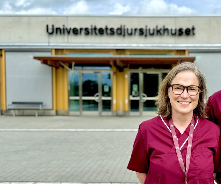 Universitetsdjursjukhuset publicerar prislista för smådjursvård