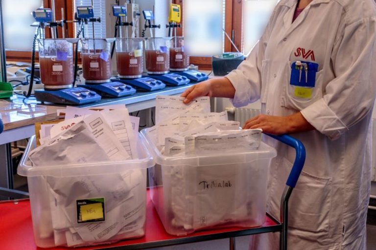 Nya regler för trikinanalyser – endast färska prover godkänns från augusti