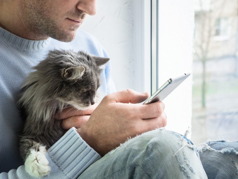Firstvet passerar en kvarts miljard efter återhämtning